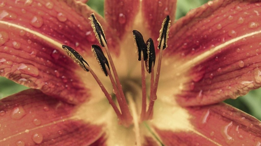 Looking at Life from different&nbsp;Angles