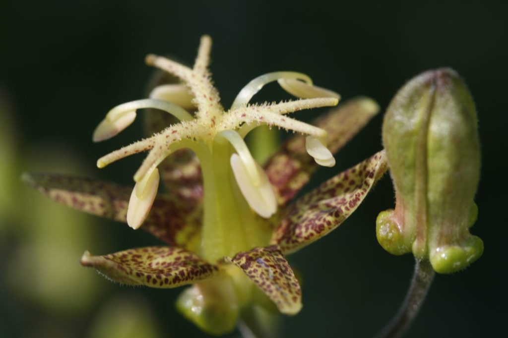 Do you Know where your weight&nbsp;is?