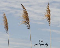 Moving Gracefully from Position to Position During a Yoga&nbsp;Session