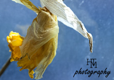 Yoga Movement Formula