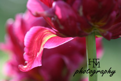 What to say when guiding students in yoga&nbsp;poses