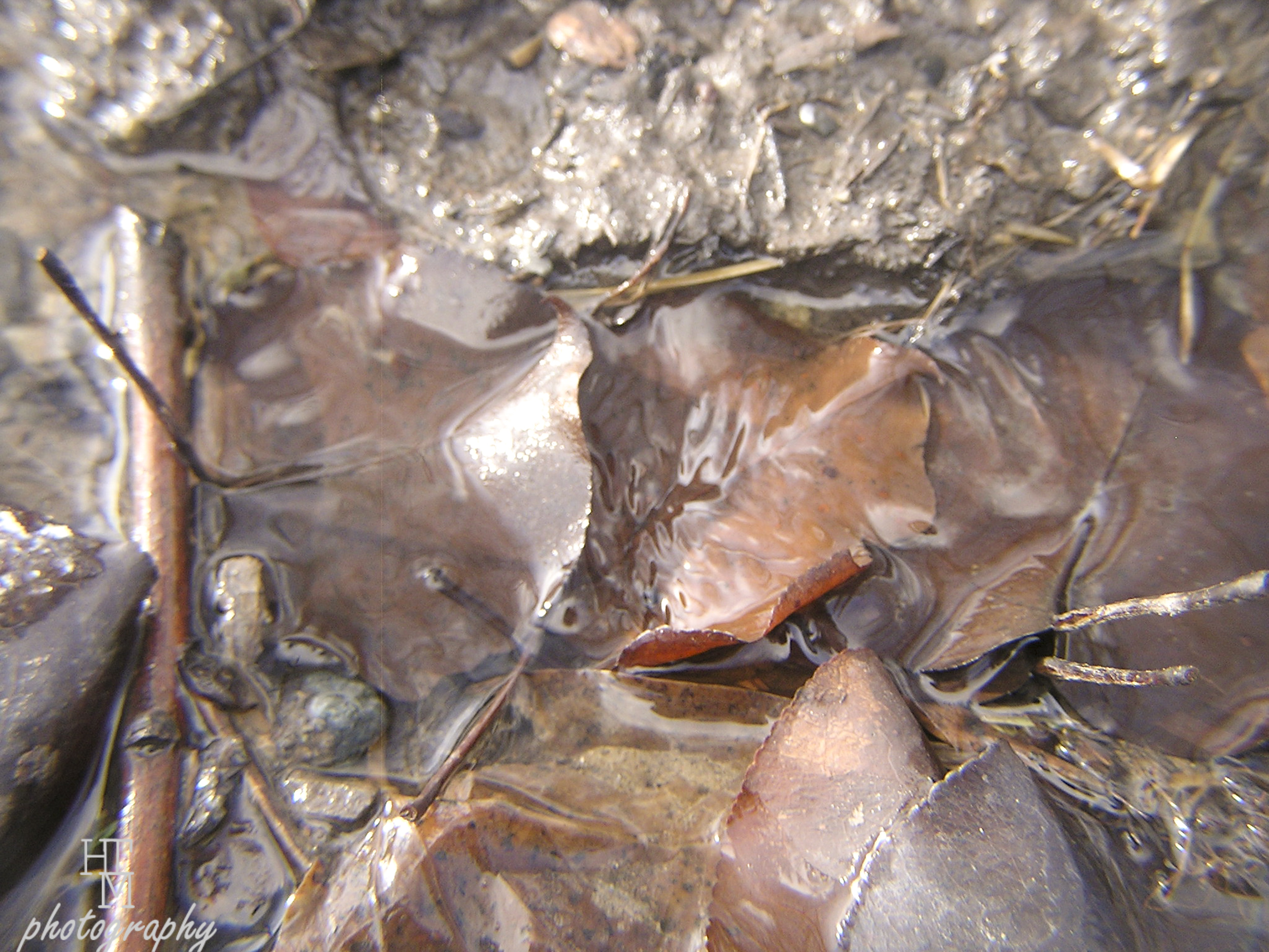 A stroll under the&nbsp;skin