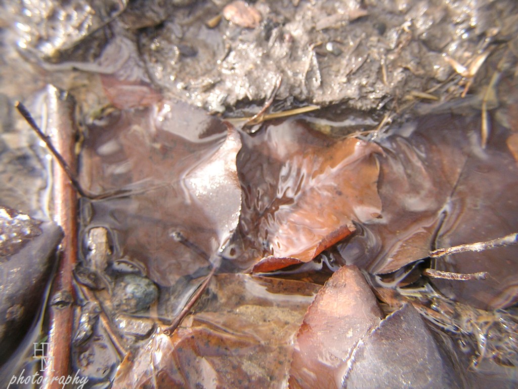 A stroll under the&nbsp;skin